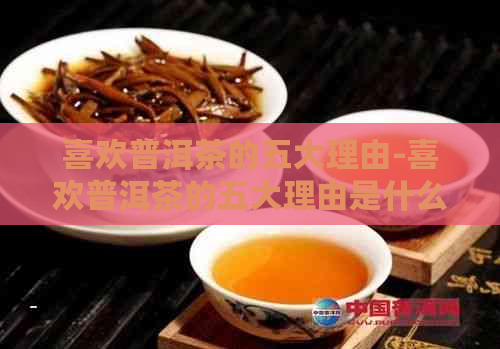 喜欢普洱茶的五大理由-喜欢普洱茶的五大理由是什么