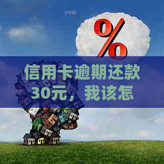 信用卡逾期还款30元，我该怎么办？逾期利息、滞纳金及相关法律责任解析