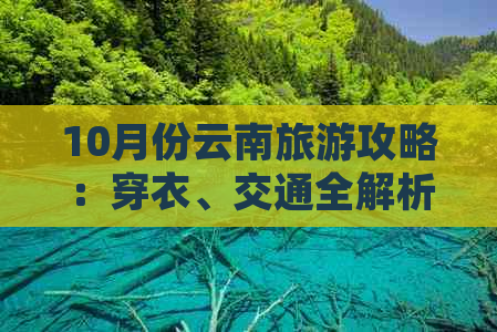 10月份云南旅游攻略：穿衣、交通全解析，不容错过的云南景点大全！