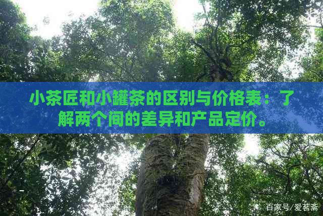 小茶匠和小罐茶的区别与价格表：了解两个间的差异和产品定价。