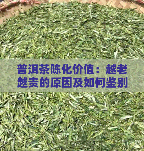 普洱茶陈化价值：越老越贵的原因及如何鉴别老茶？