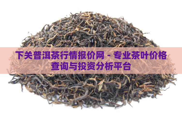 下关普洱茶行情报价网 - 专业茶叶价格查询与投资分析平台