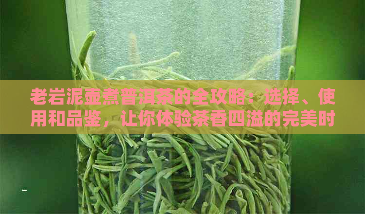 老岩泥壶煮普洱茶的全攻略：选择、使用和品鉴，让你体验茶香四溢的完美时光