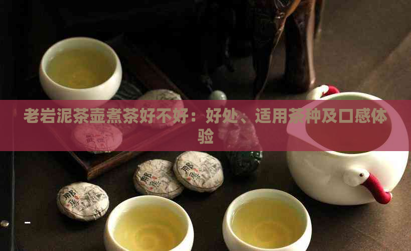 老岩泥茶壶煮茶好不好：好处、适用茶种及口感体验