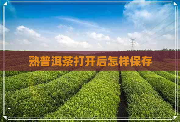 熟普洱茶打开后怎样保存