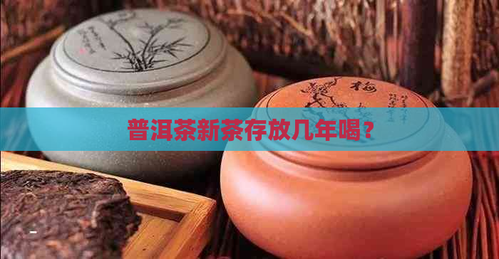 普洱茶新茶存放几年喝？