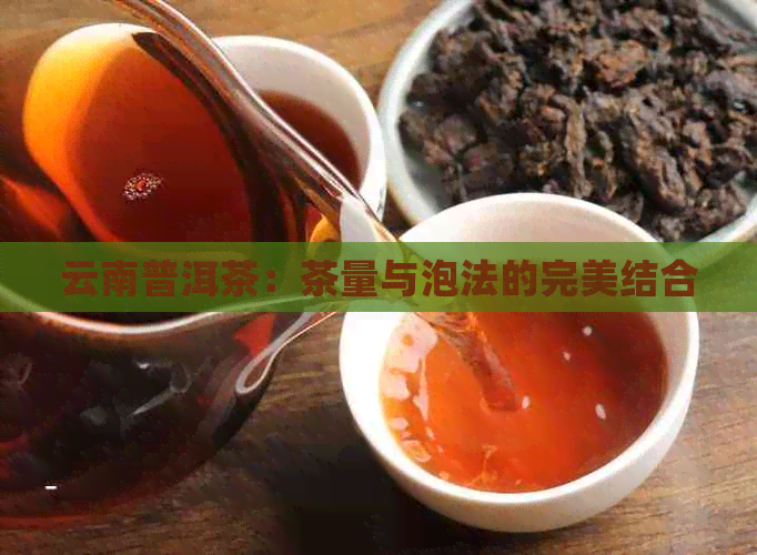 云南普洱茶：茶量与泡法的完美结合