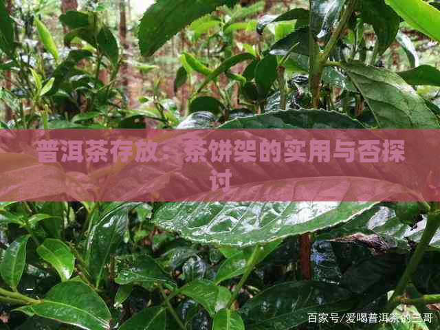 普洱茶存放：茶饼架的实用与否探讨