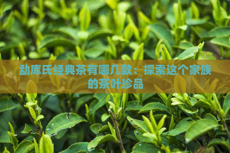 勐库氏经典茶有哪几款：探索这个家族的茶叶珍品