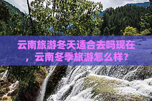 云南旅游冬天适合去吗现在，云南冬季旅游怎么样？