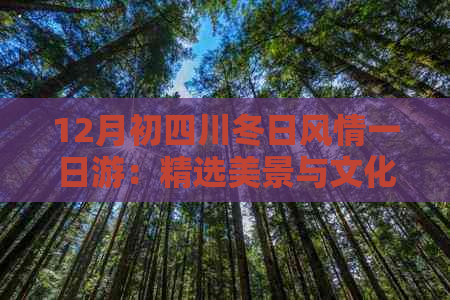 12月初四川冬日风情一日游：精选美景与文化体验攻略