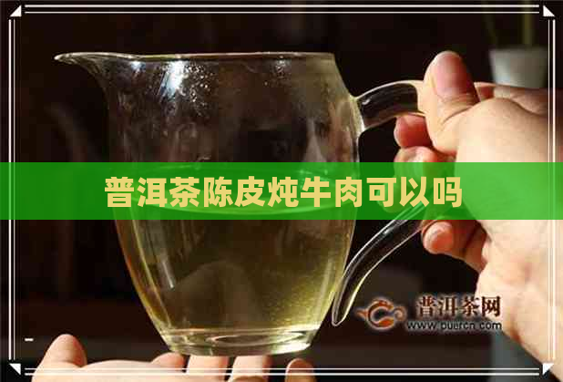 普洱茶陈皮炖牛肉可以吗