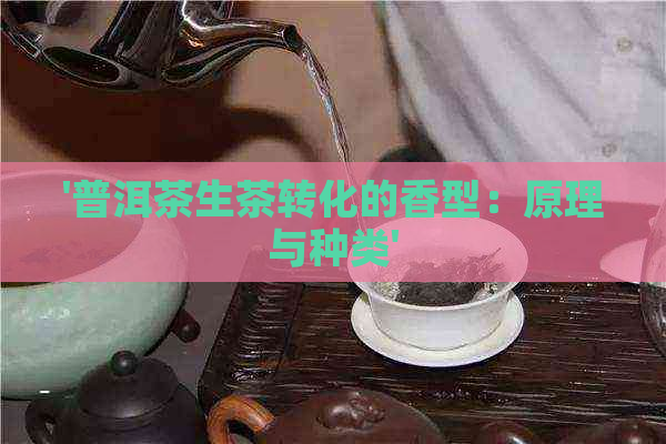 '普洱茶生茶转化的香型：原理与种类'