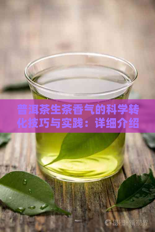 普洱茶生茶香气的科学转化技巧与实践：详细介绍及操作步骤