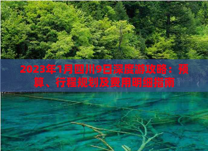 2023年1月四川9日深度游攻略：预算、行程规划及费用明细指南