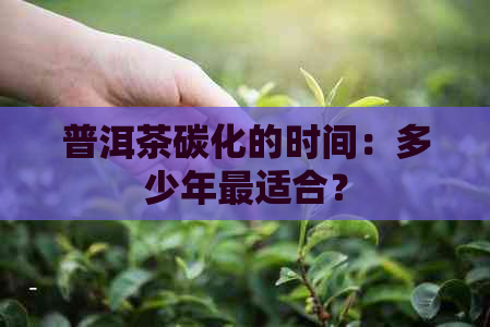 普洱茶碳化的时间：多少年最适合？