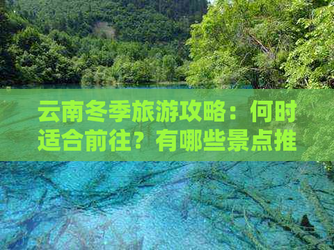 云南冬季旅游攻略：何时适合前往？有哪些景点推荐？如何保持温暖？