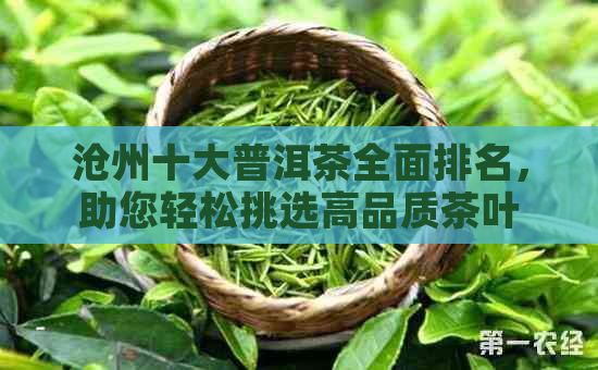 沧州十大普洱茶全面排名，助您轻松挑选高品质茶叶