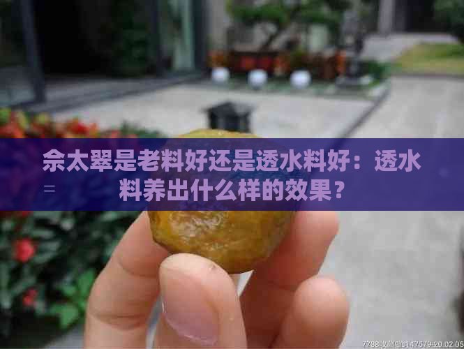 佘太翠是老料好还是透水料好：透水料养出什么样的效果？