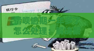 借呗逾期一年多了怎么处理：解决策略与法律风险分析