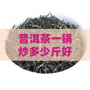 普洱茶一锅炒多少斤好喝