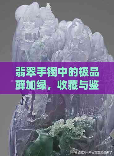 翡翠手镯中的极品藓加绿，收藏与鉴赏的完美结合