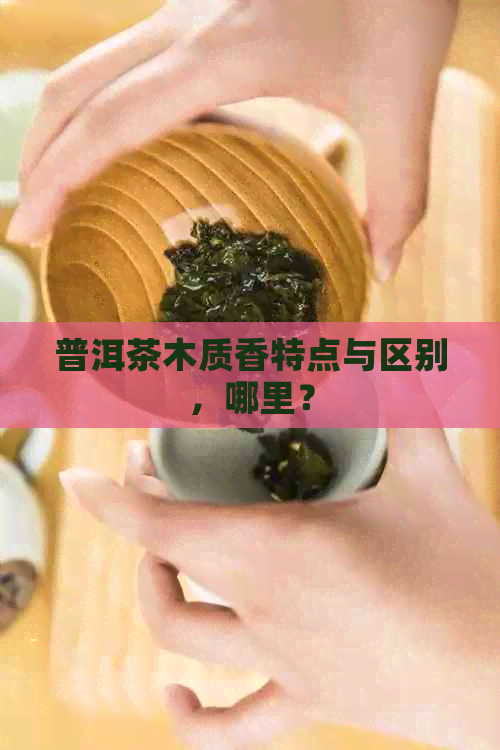 普洱茶木质香特点与区别，哪里？