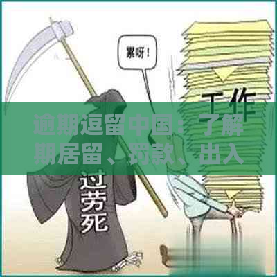 逾期逗留中国：了解期居留、罚款、出入境限制等相关信息及应对策略