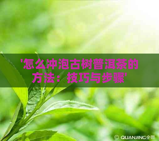 '怎么冲泡古树普洱茶的方法：技巧与步骤'