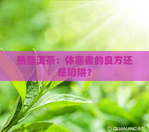 熟普洱茶：体寒者的良方还是陷阱？