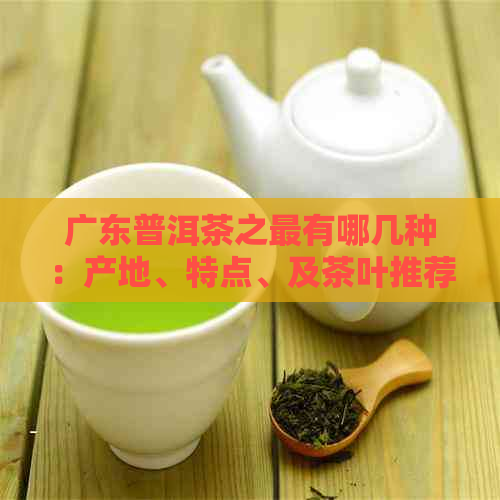 广东普洱茶之最有哪几种：产地、特点、及茶叶推荐