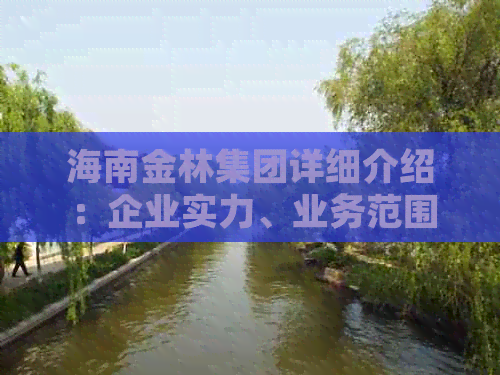 海南金林集团详细介绍：企业实力、业务范围及发展历程解析