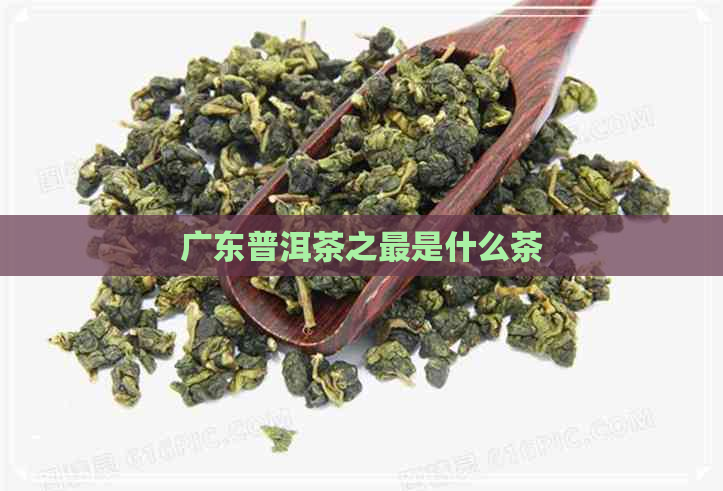 广东普洱茶之最是什么茶