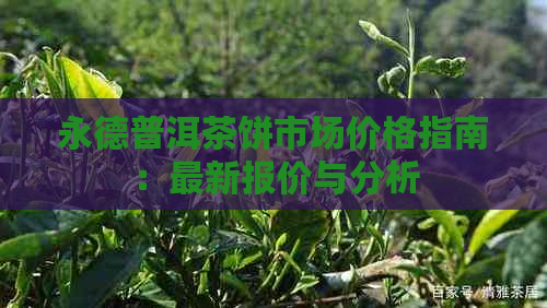 永德普洱茶饼市场价格指南：最新报价与分析