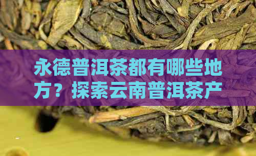 永德普洱茶都有哪些地方？探索云南普洱茶产区的完整指南