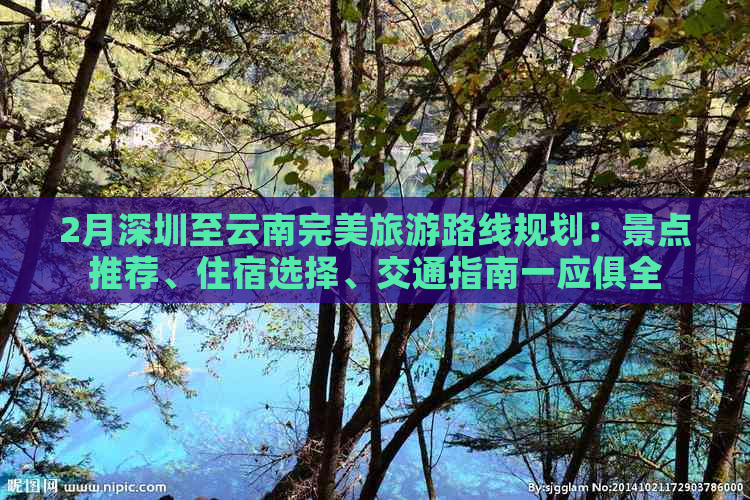 2月深圳至云南完美旅游路线规划：景点推荐、住宿选择、交通指南一应俱全