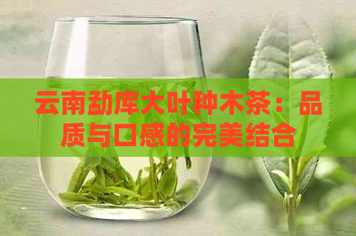 云南勐库大叶种木茶：品质与口感的完美结合