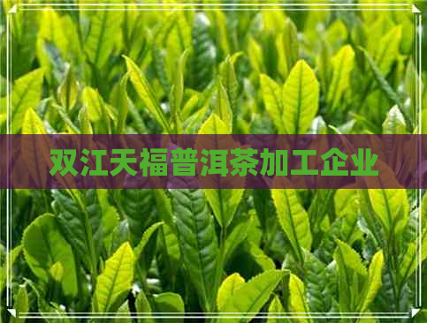 双江天福普洱茶加工企业