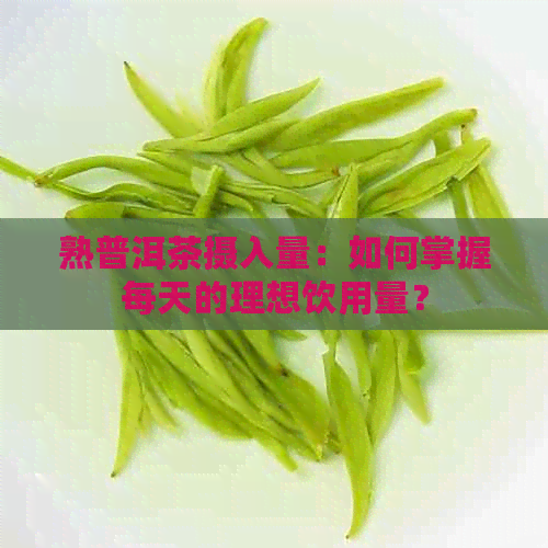 熟普洱茶摄入量：如何掌握每天的理想饮用量？