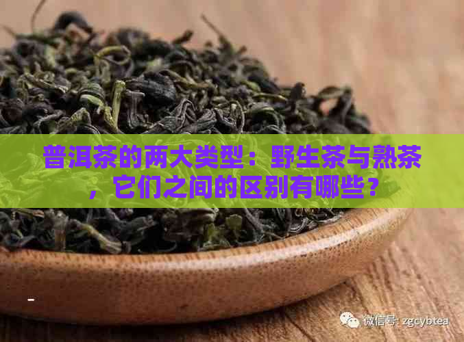 普洱茶的两大类型：野生茶与熟茶，它们之间的区别有哪些？