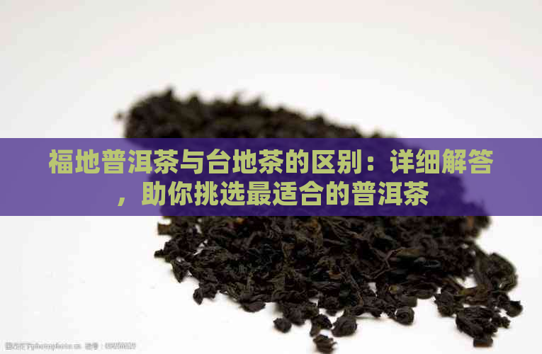 福地普洱茶与台地茶的区别：详细解答，助你挑选最适合的普洱茶