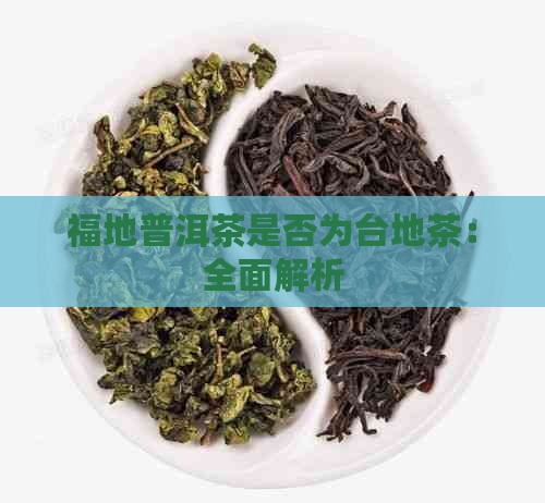 福地普洱茶是否为台地茶：全面解析