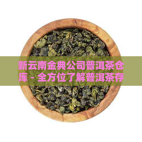 新云南金典公司普洱茶仓库 - 全方位了解普洱茶存、品质与选购指南