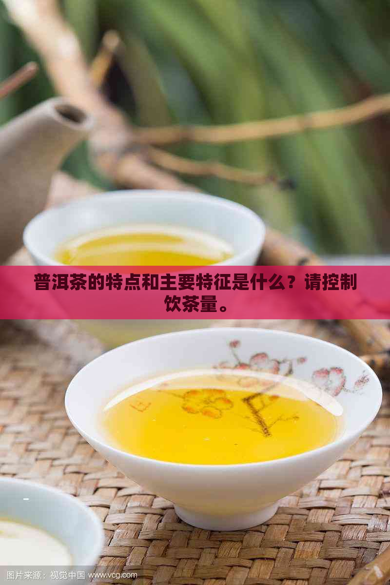 普洱茶的特点和主要特征是什么？请控制饮茶量。