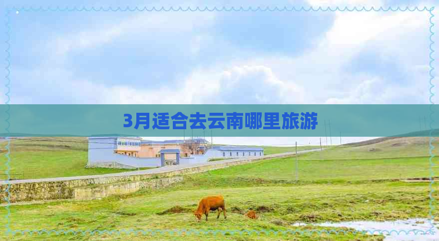 3月适合去云南哪里旅游