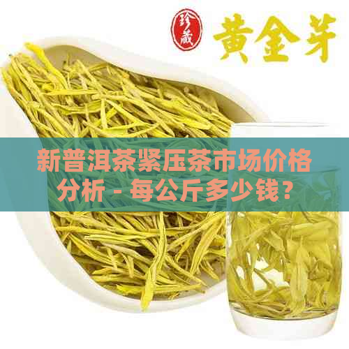 新普洱茶紧压茶市场价格分析 - 每公斤多少钱？