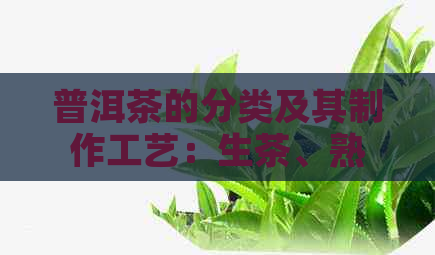 普洱茶的分类及其制作工艺：生茶、熟茶和散茶详解