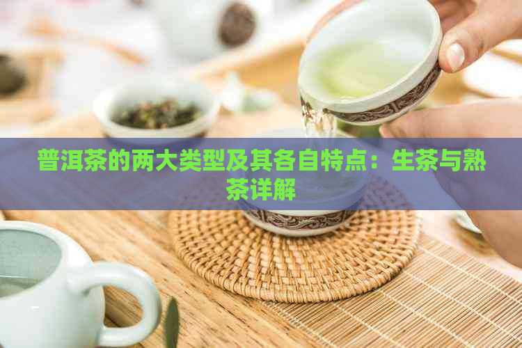 普洱茶的两大类型及其各自特点：生茶与熟茶详解