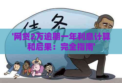 '网贷2万逾期一年利息计算和后果：完全指南'