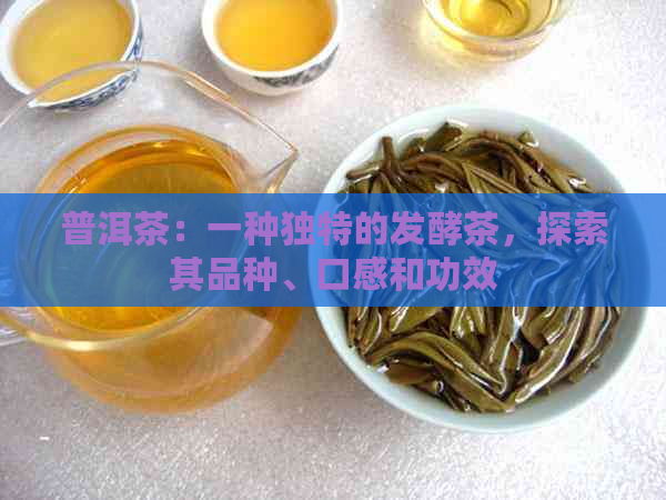 普洱茶：一种独特的发酵茶，探索其品种、口感和功效